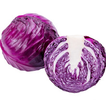 2021 New Season Fresh Vegetable Exporter With International Certifications Fresh Purple Cabbage